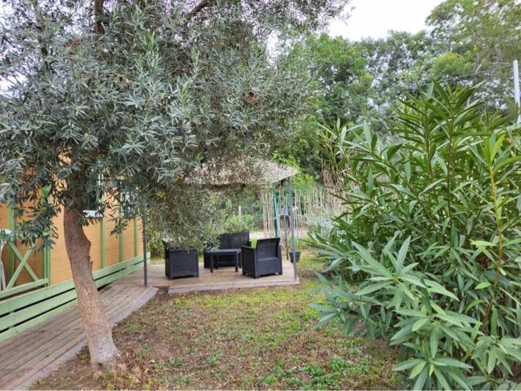 Chalet Avec Patio En Haute Corse 5 Couchages Camp du Cap Sud Екстер'єр фото